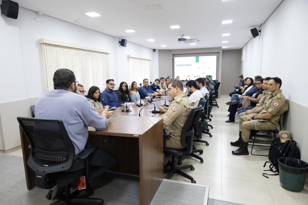 Comitê abre canal para colher sugestões da população para aprimorar ações de enfrentamento aos incêndios florestais