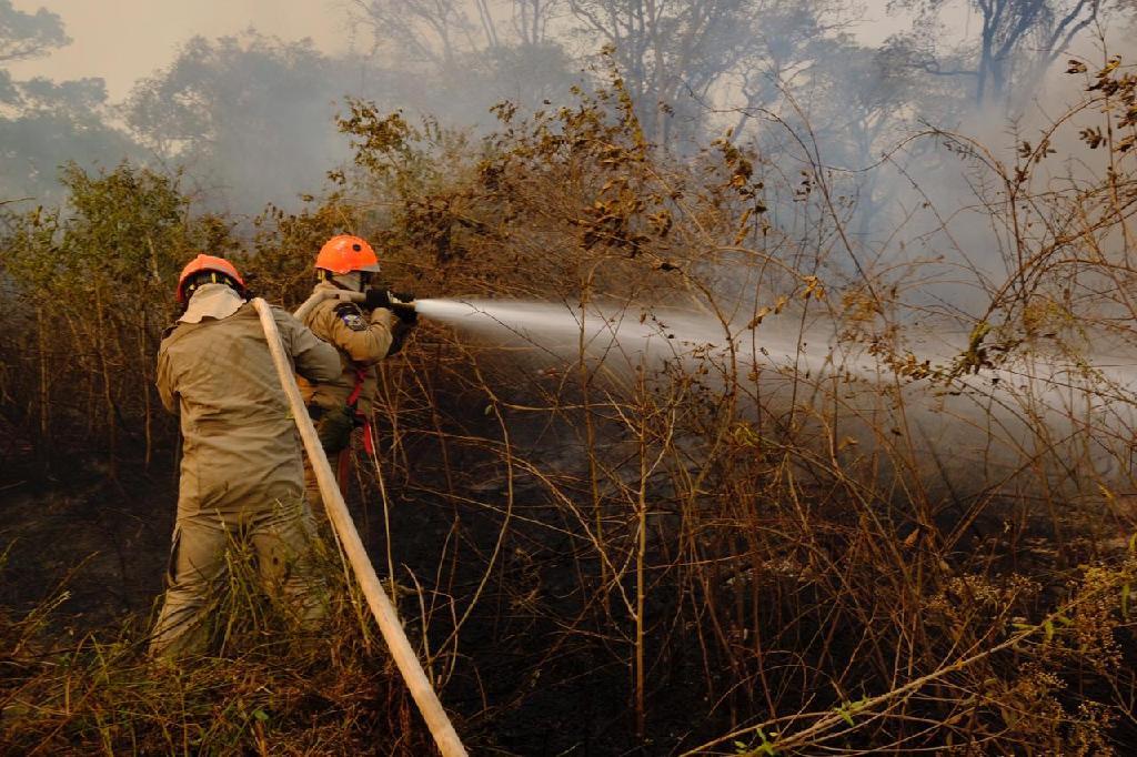 Período proibitivo do fogo em Mato Grosso começa nesta sexta-feira (1º)