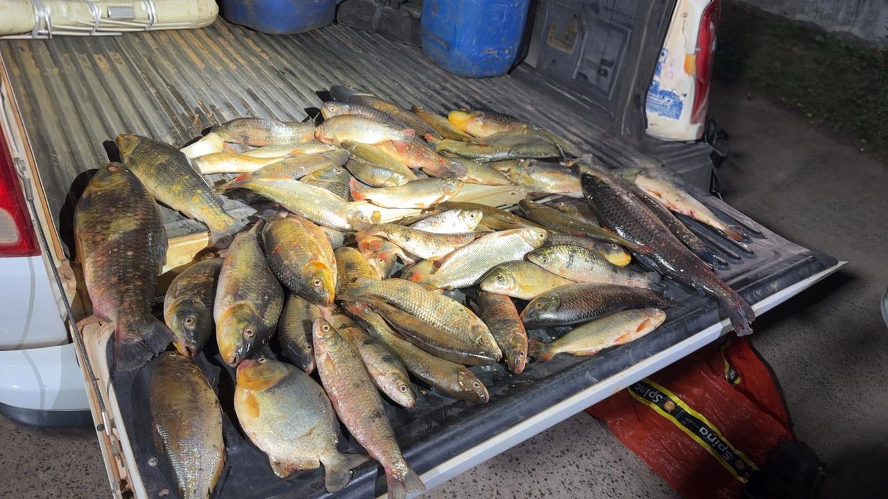 Sema-MT apreende mais de 60 kg de pescado ilegal em Santo Antônio de Leverger
