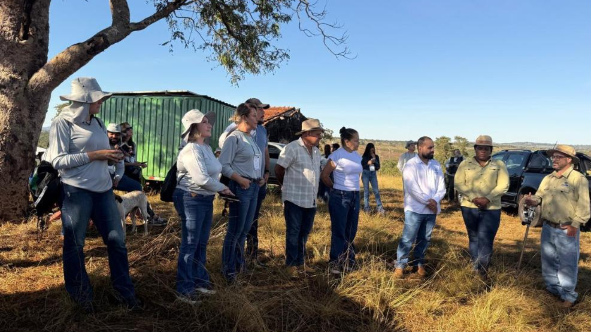 Programa Todos pelo Araguaia deve recuperar mil hectares de áreas degradadas até dezembro
