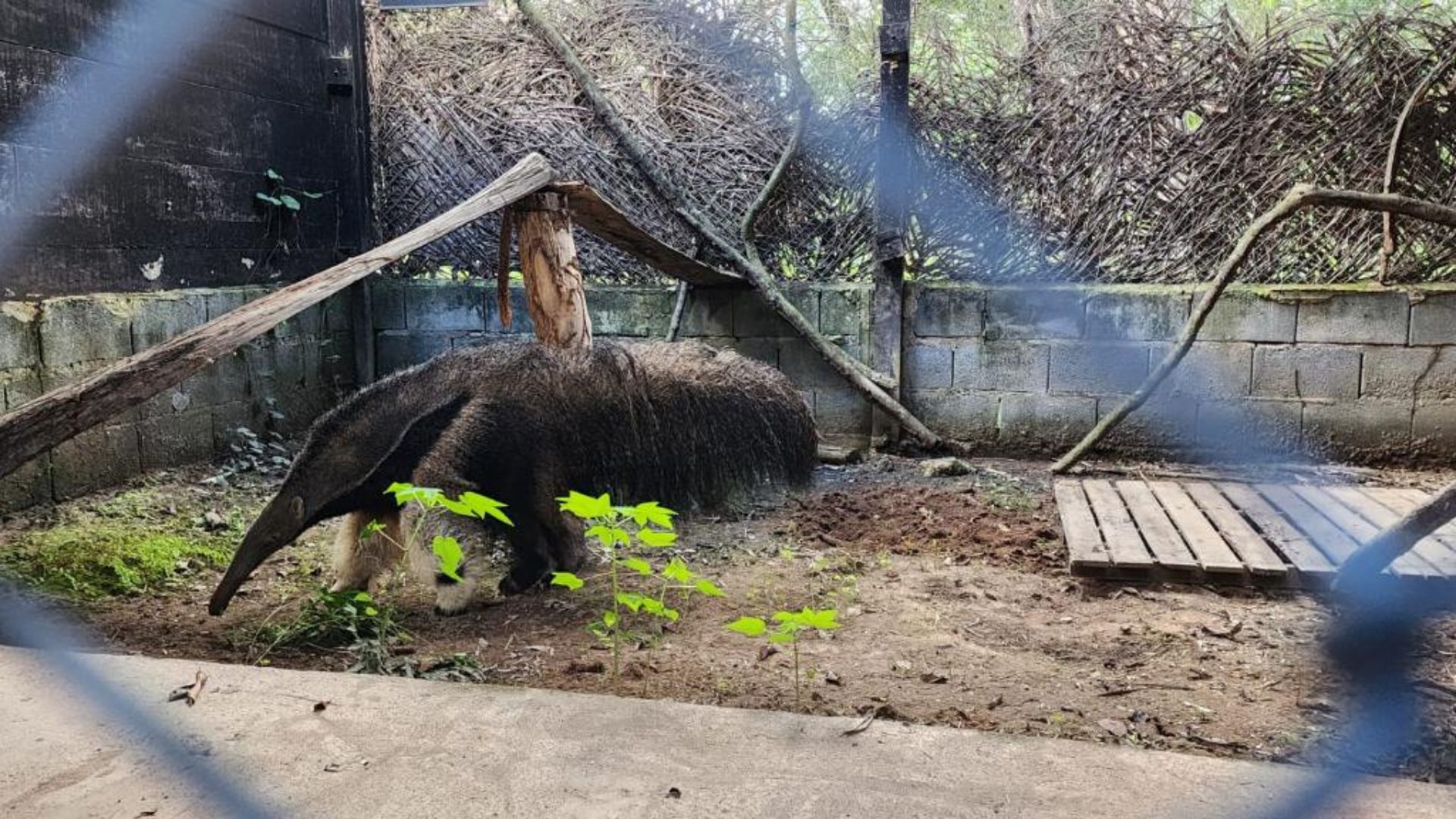 Sema MT imagem sem descrição.