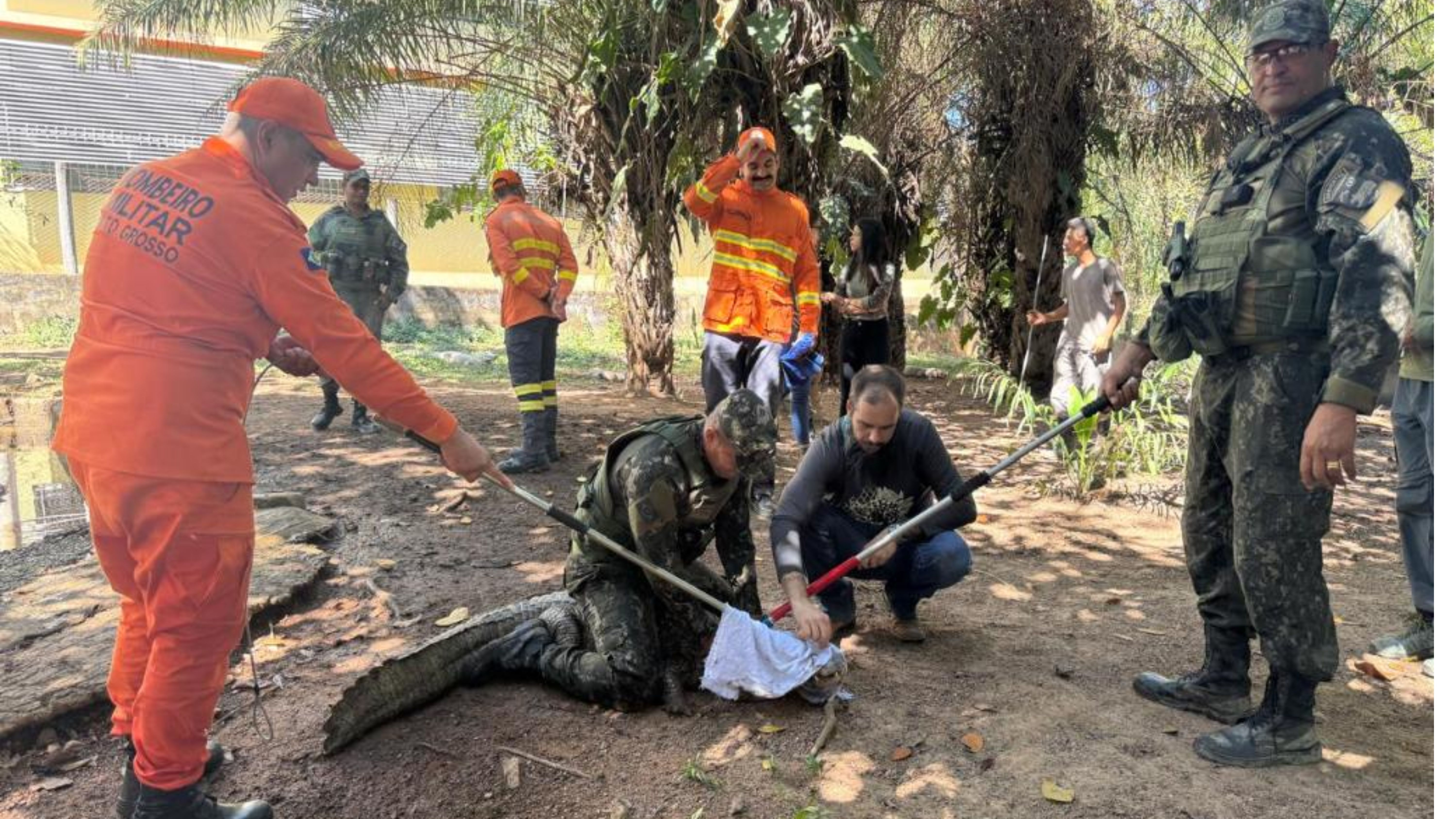 Sema conclui curso com aula prática de resgate e manejo de animais no Cempas da UFMT