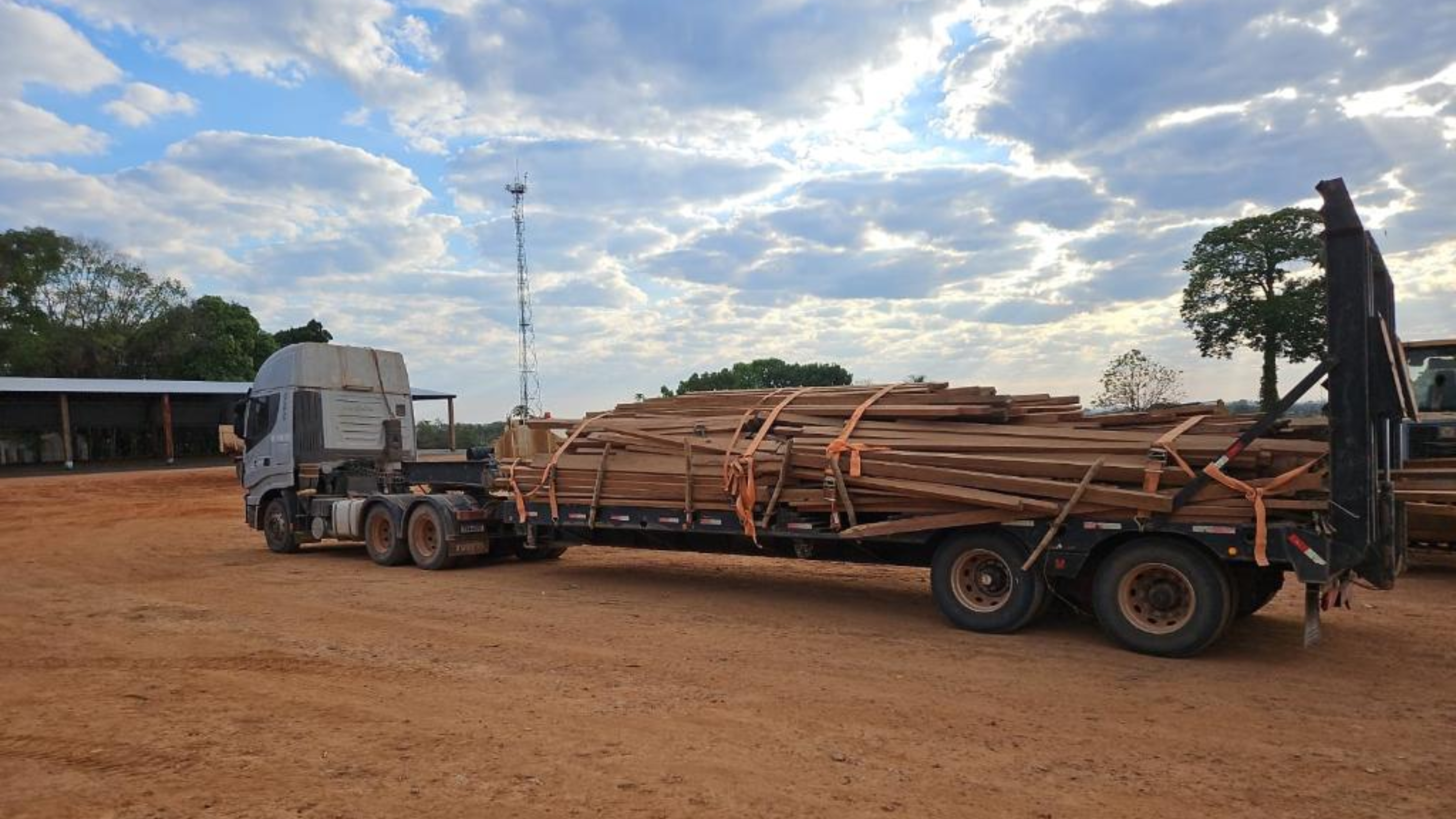 Castanheira apreendida pela Sema em Nova Bandeirantes lota dois caminhões