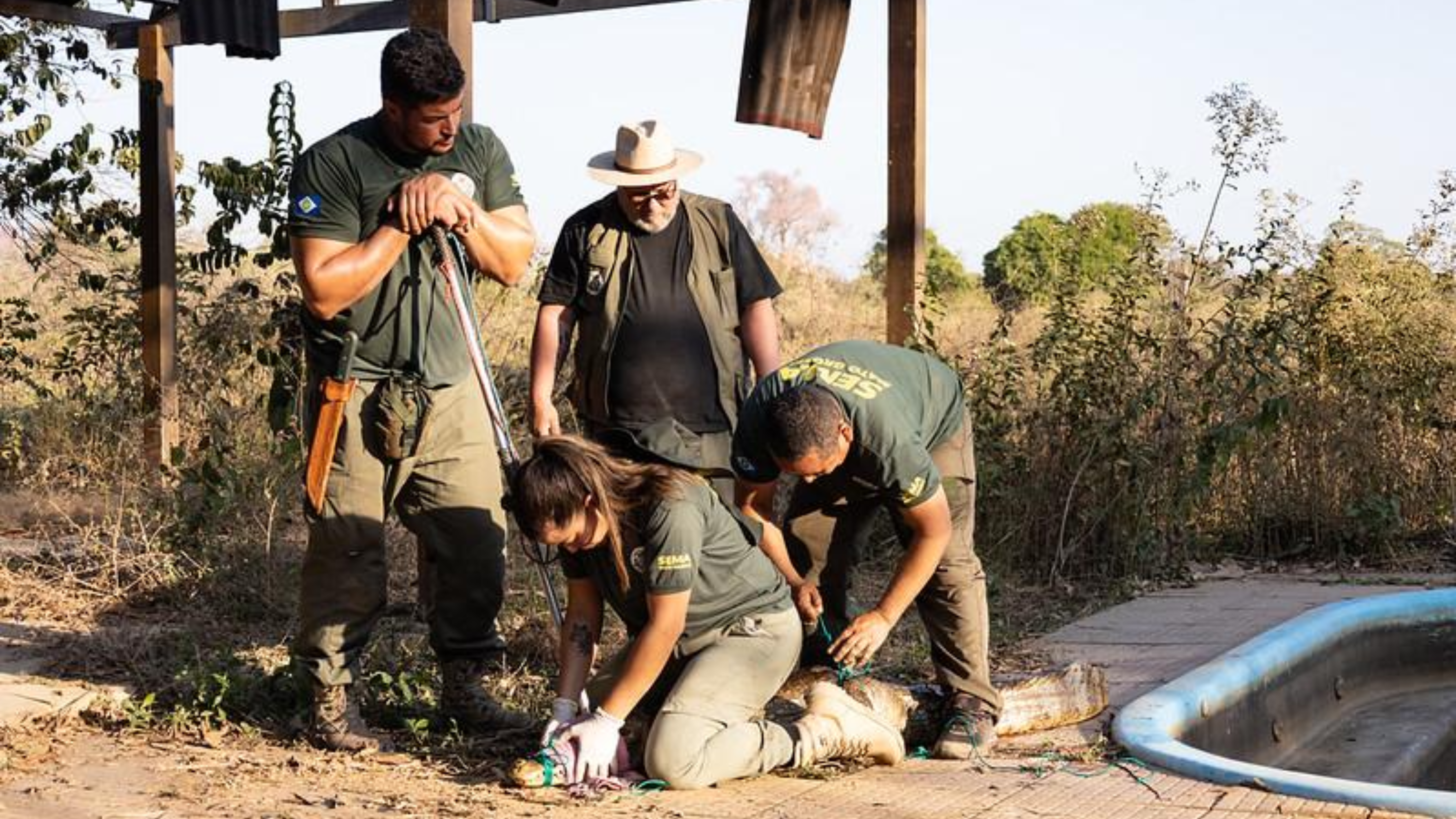 Sema inicia cadastro de voluntários para resgate e manejo de animais silvestres em unidades de conservação
