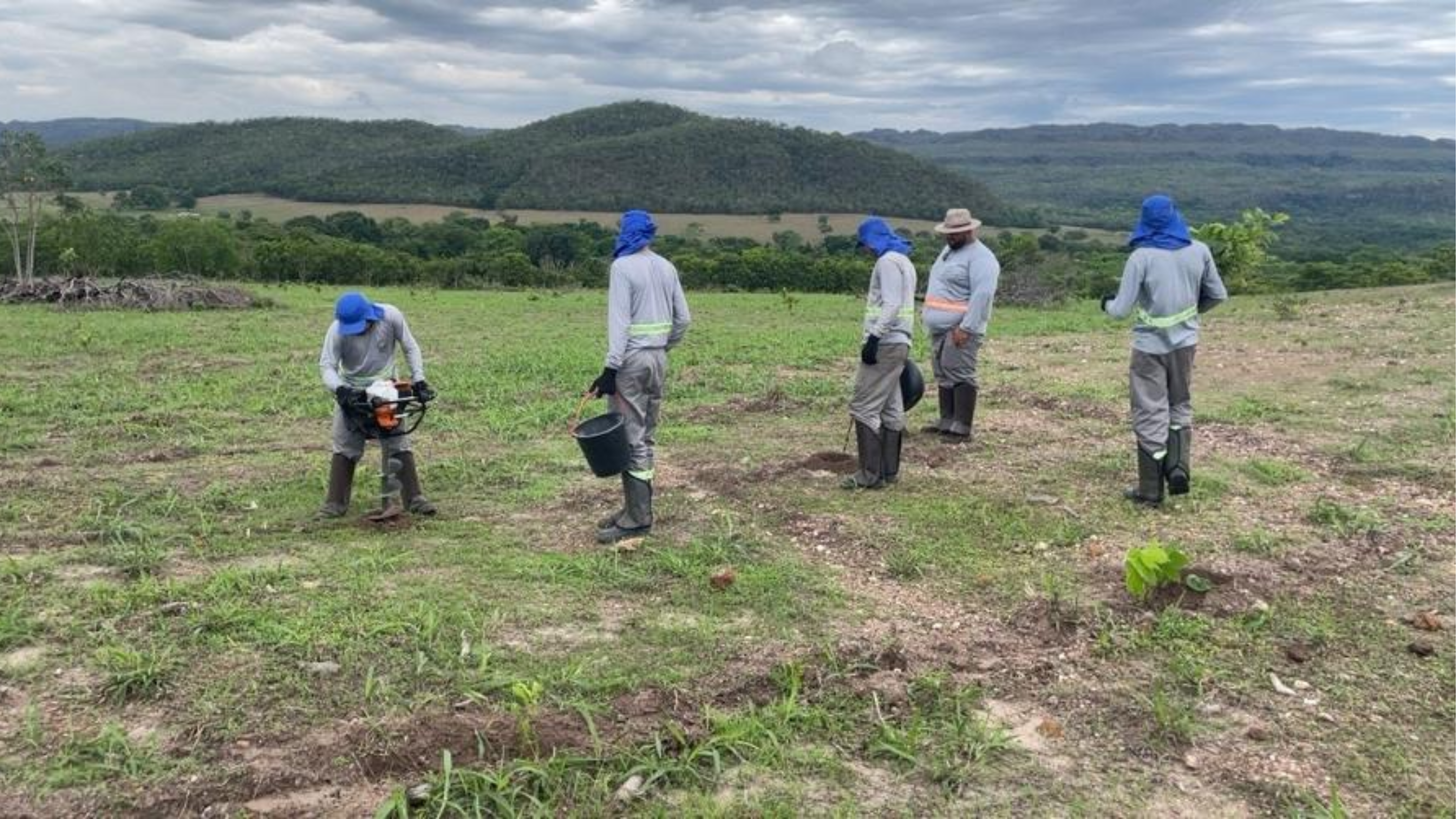 Áreas de recuperação ambiental serão ampliadas com investimentos internacionais