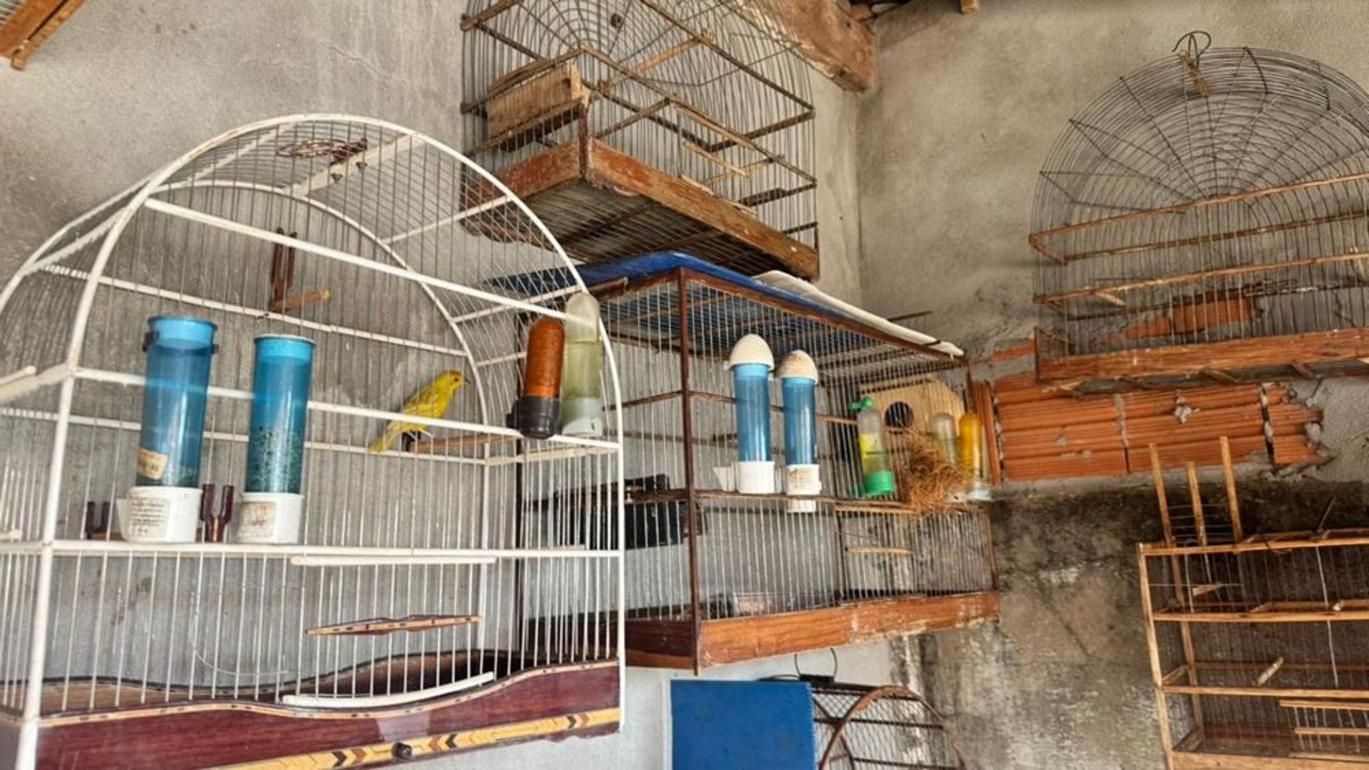 Assessoria imagem sem descrição.