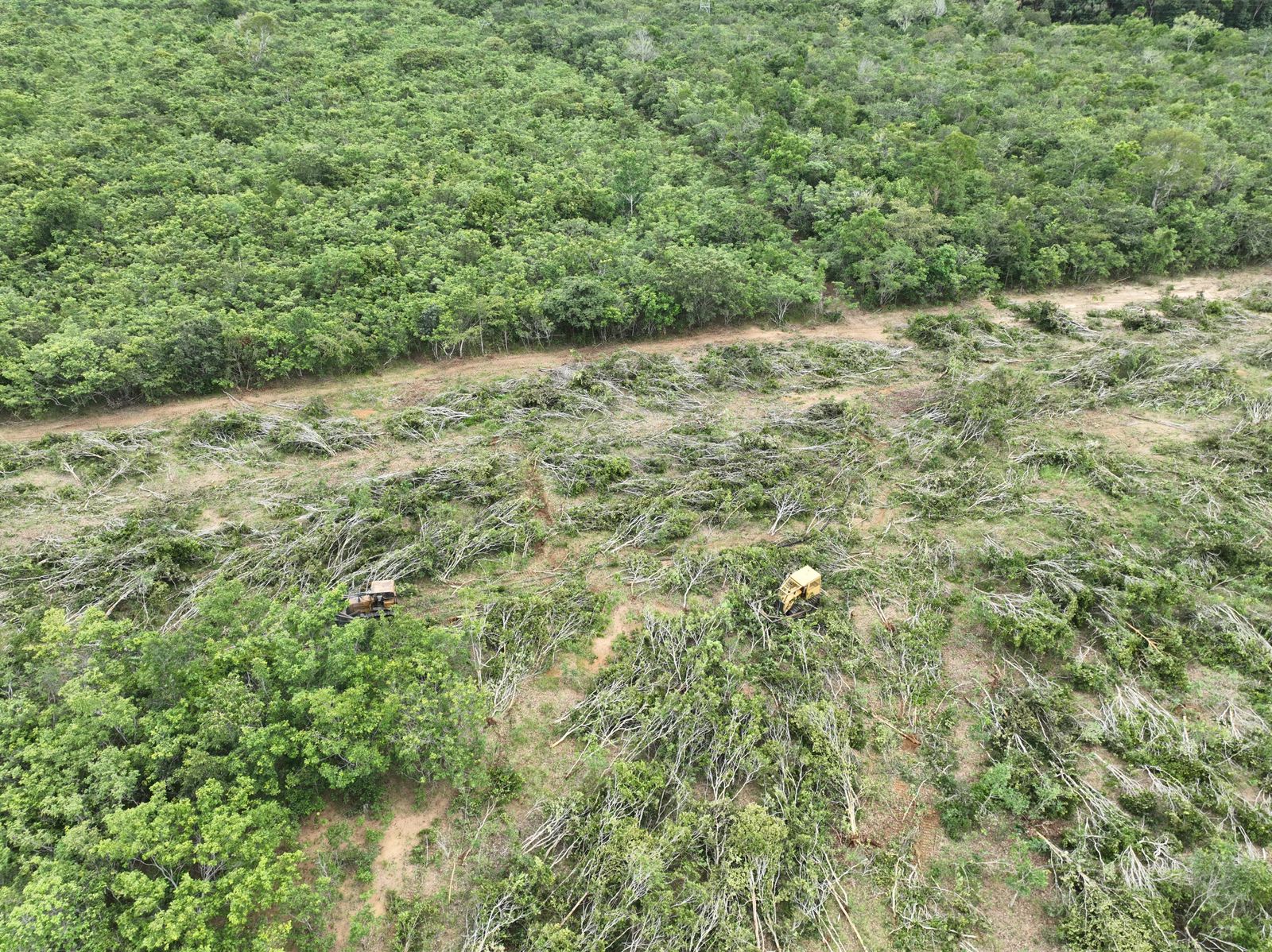 Com o uso de drones, os agentes ambientais localizaram máquinas derrubando árvores com correntão Crédito - Sema-MT