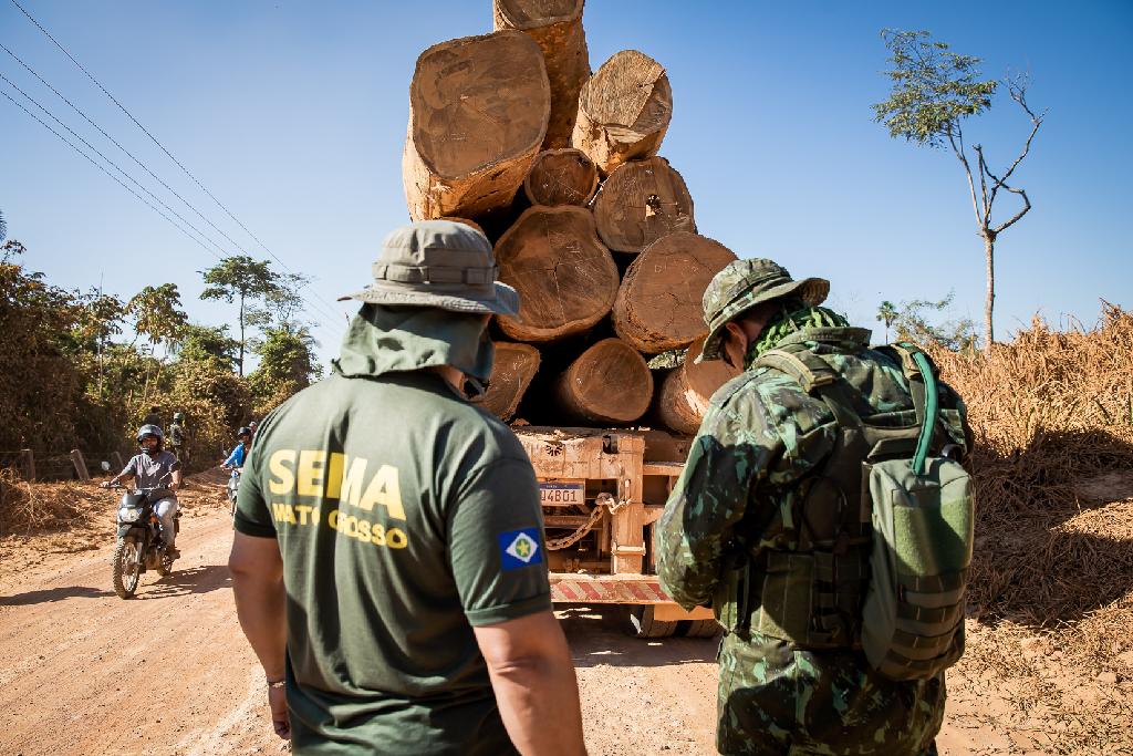 Sema bloqueia 72 empreendimentos em sistema por suspeita de irregularidade no comércio de madeira