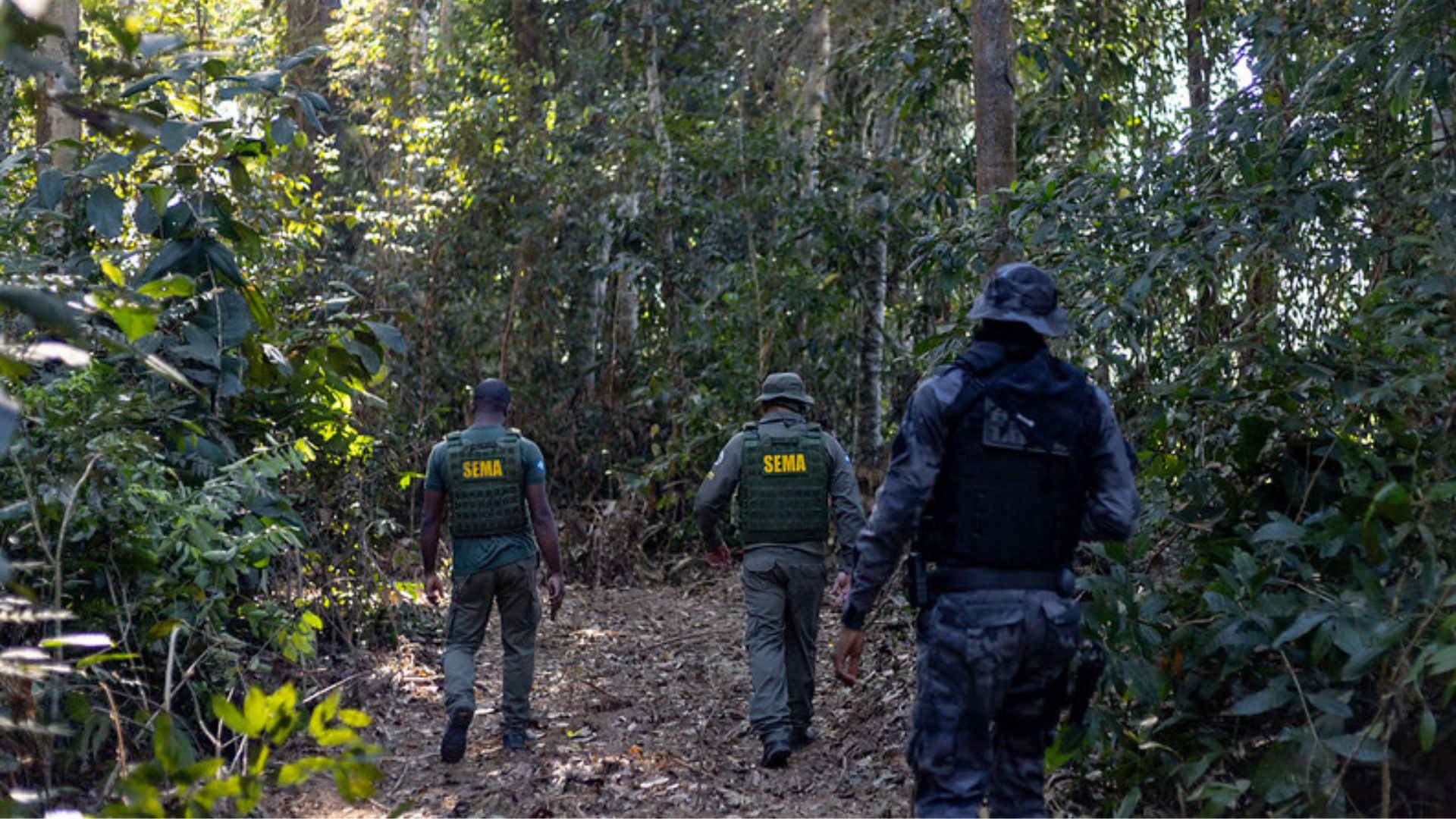 Mato Grosso ocupa posição de liderança na produção de grãos e também na redução do desmatamento