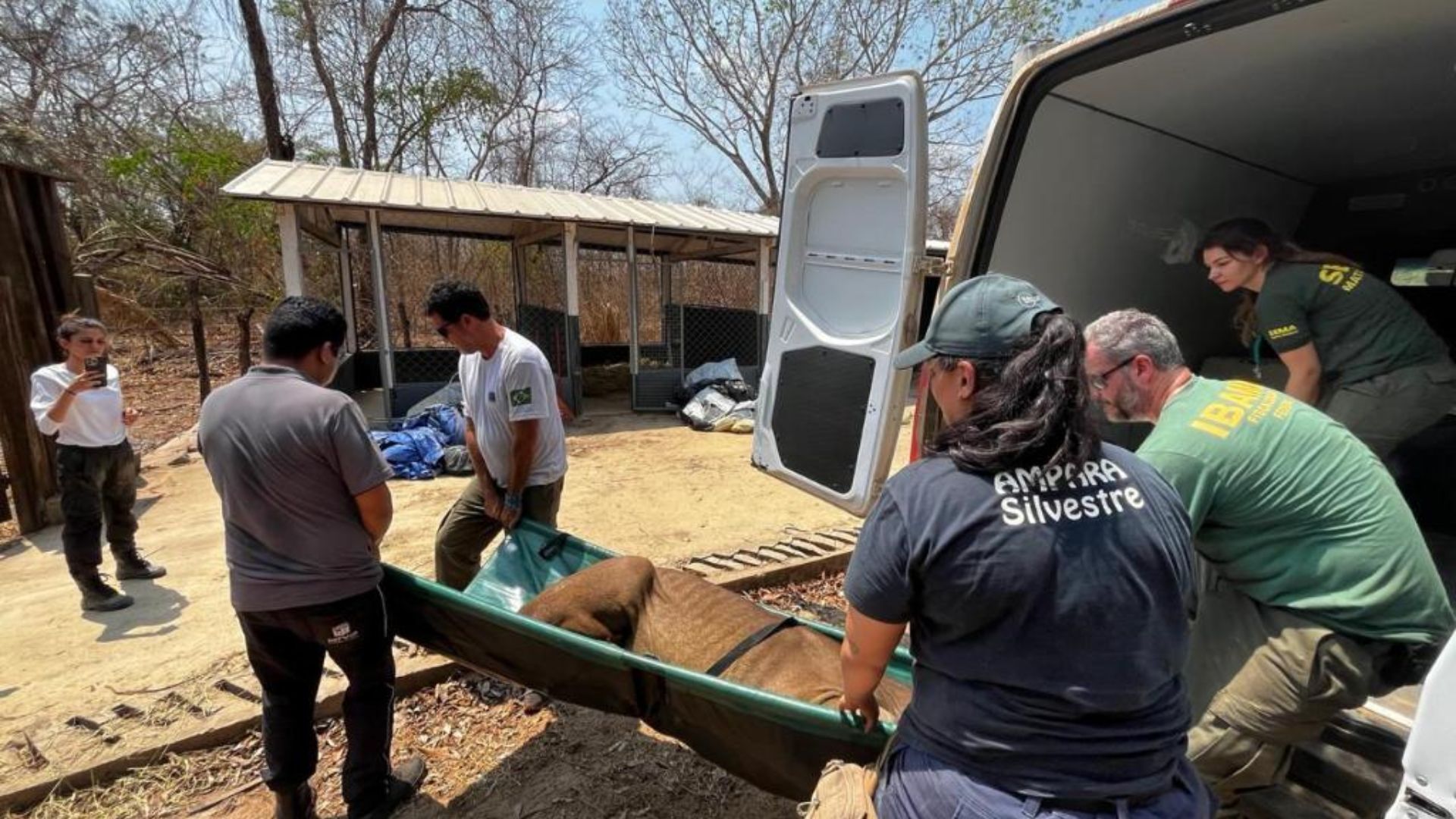 Sema realiza capacitação para manejo e contenção de fauna durante incêndios florestais