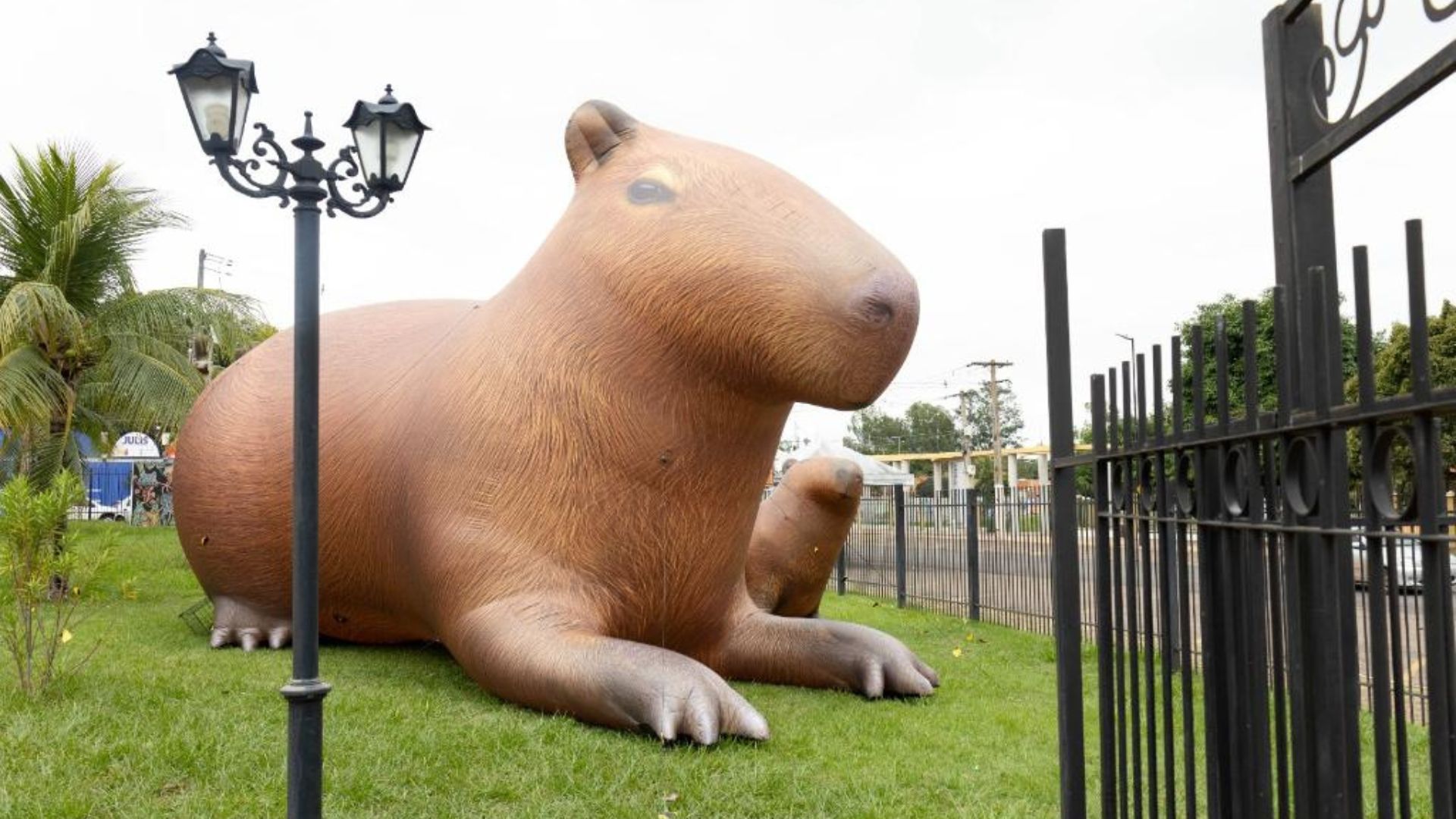 Capivara de quatro metros de altura chama atenção para Virada Sustentável Mato Grosso