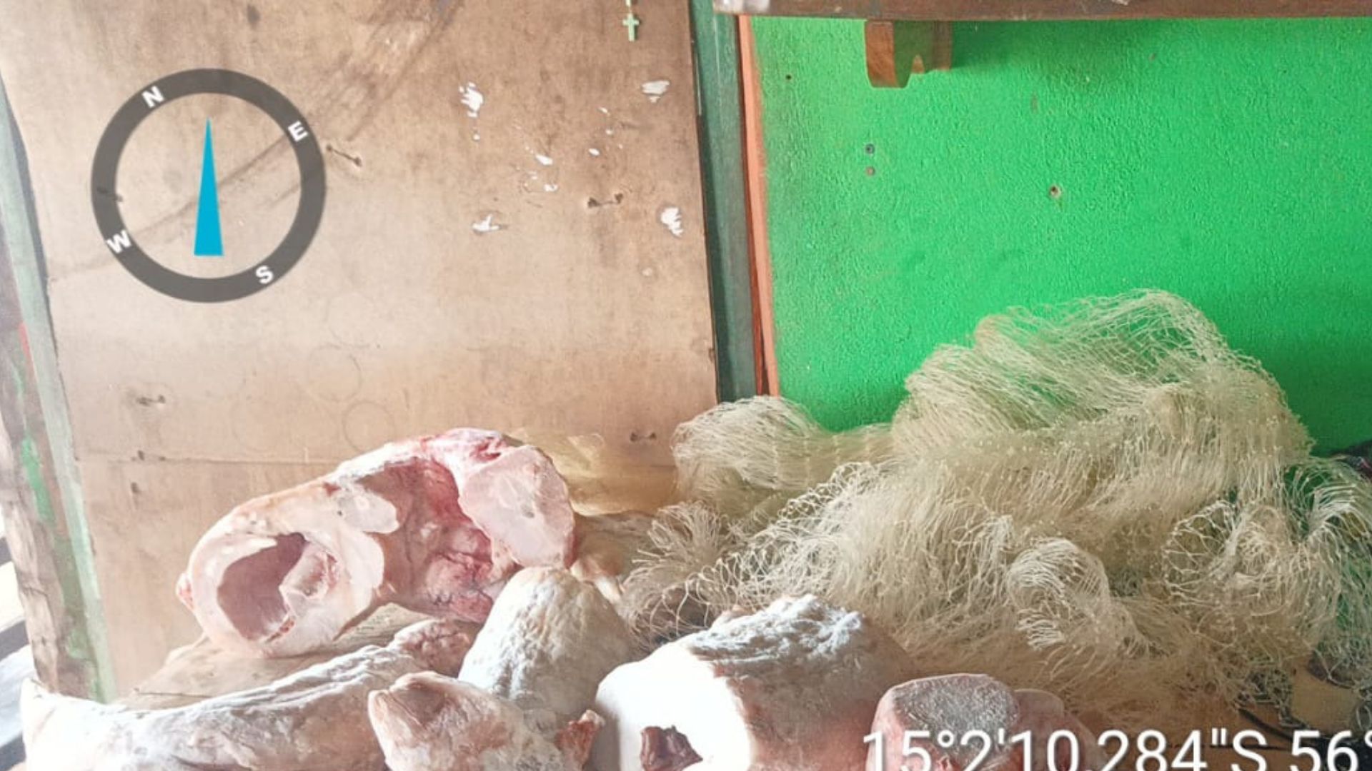 Sema e PM apreendem animais comercializados ilegalmente no norte do estado