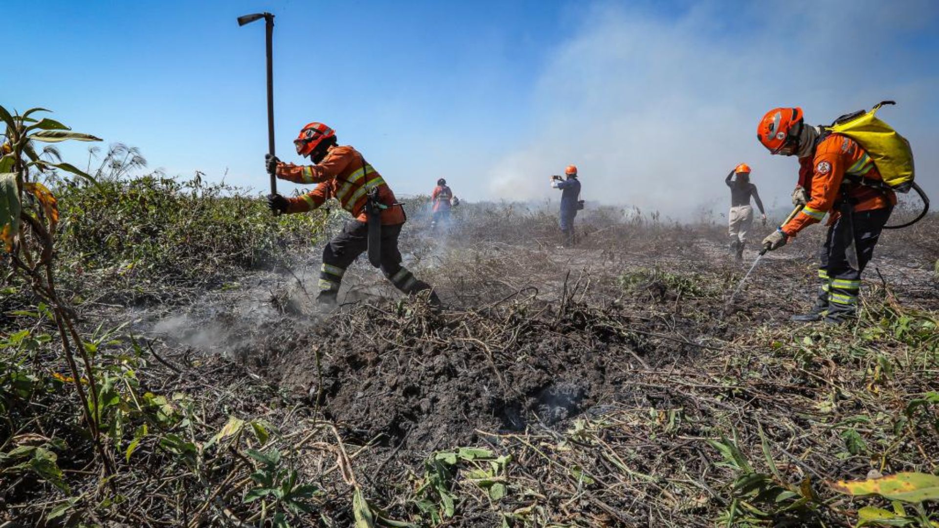 Governo de MT lança Plano de Ação de Combate ao Desmatamento Ilegal e Incêndios Florestais nesta segunda-feira (25)