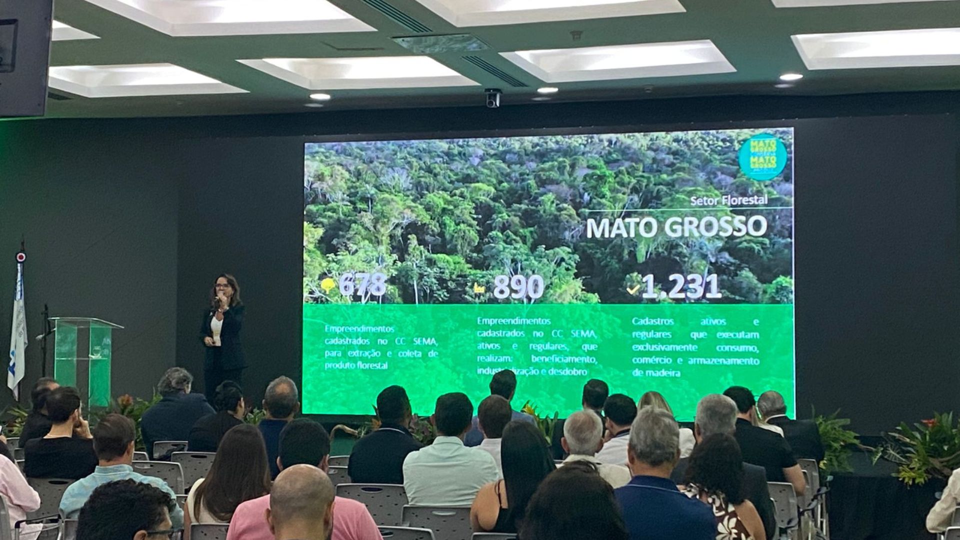 Modelo implementado em MT para garantir produção regular de madeira nativa é referência em nível nacional