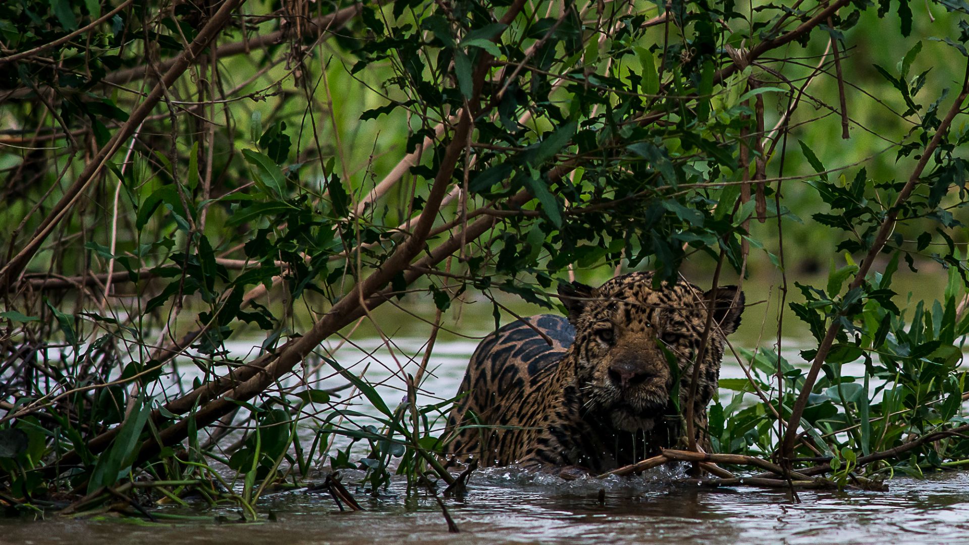 Sema publica Plano de Manejo do Parque Estadual Encontro das Águas