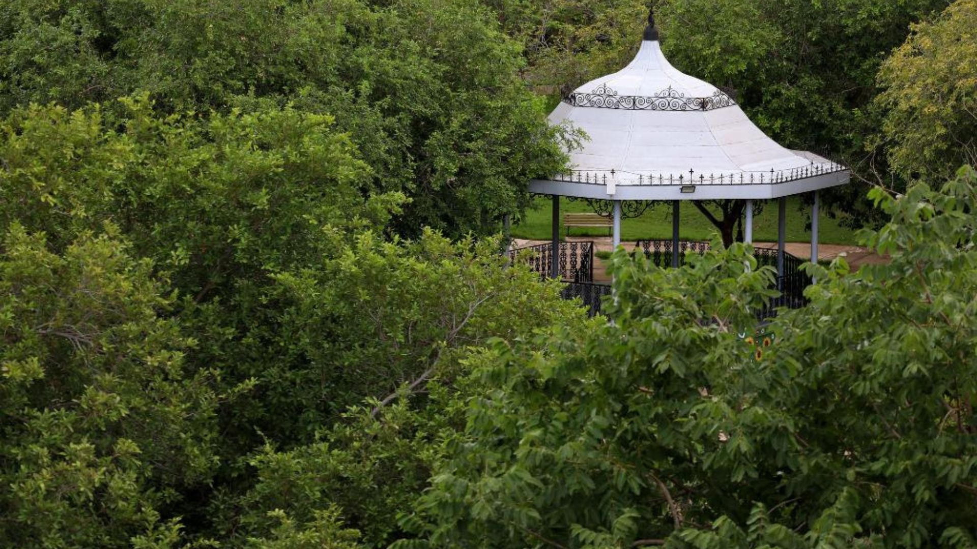 Sema abre inscrições para Trilha Interpretativa de Flora no Parque Mãe Bonifácia