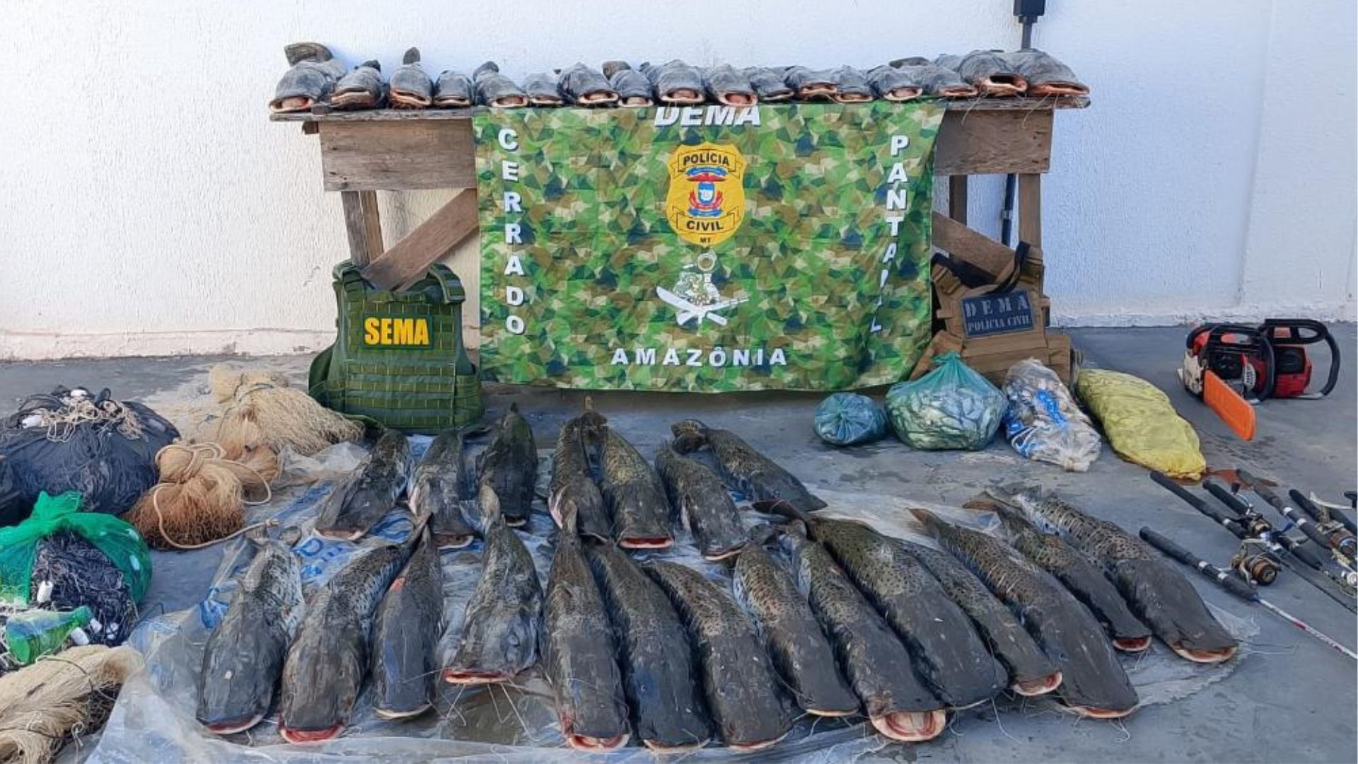Sema e Dema apreendem 235 quilos de pescado em Barão de Melgaço após denúncia