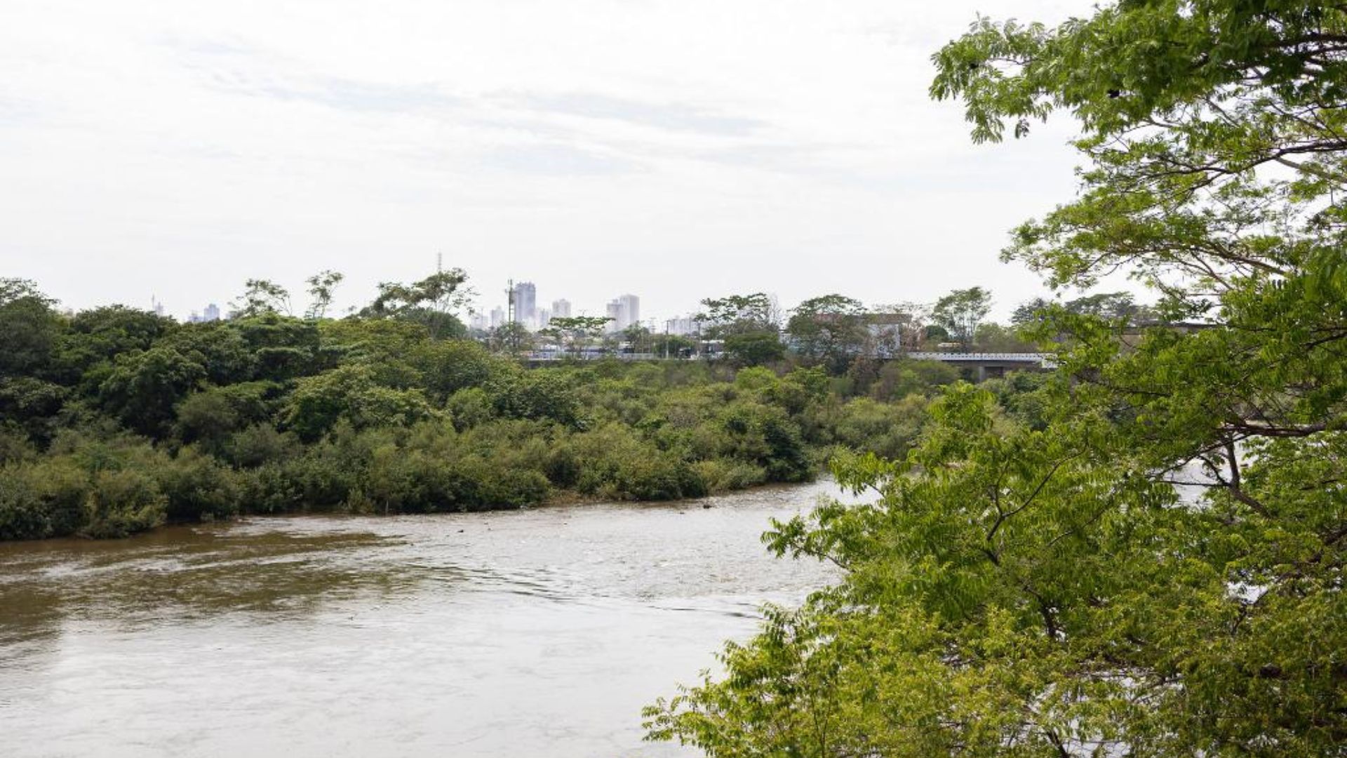 Pescadores profissionais e estabelecimentos comerciais devem declarar estoque pesqueiro até a próxima sexta-feira (03)
