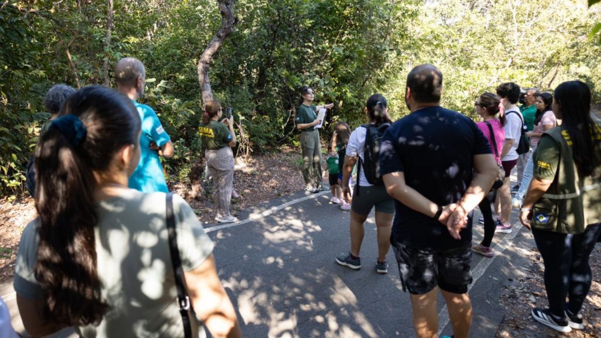 Atividades guiadas no Parque Mãe Bonifácia resgatam importância de árvores nativas