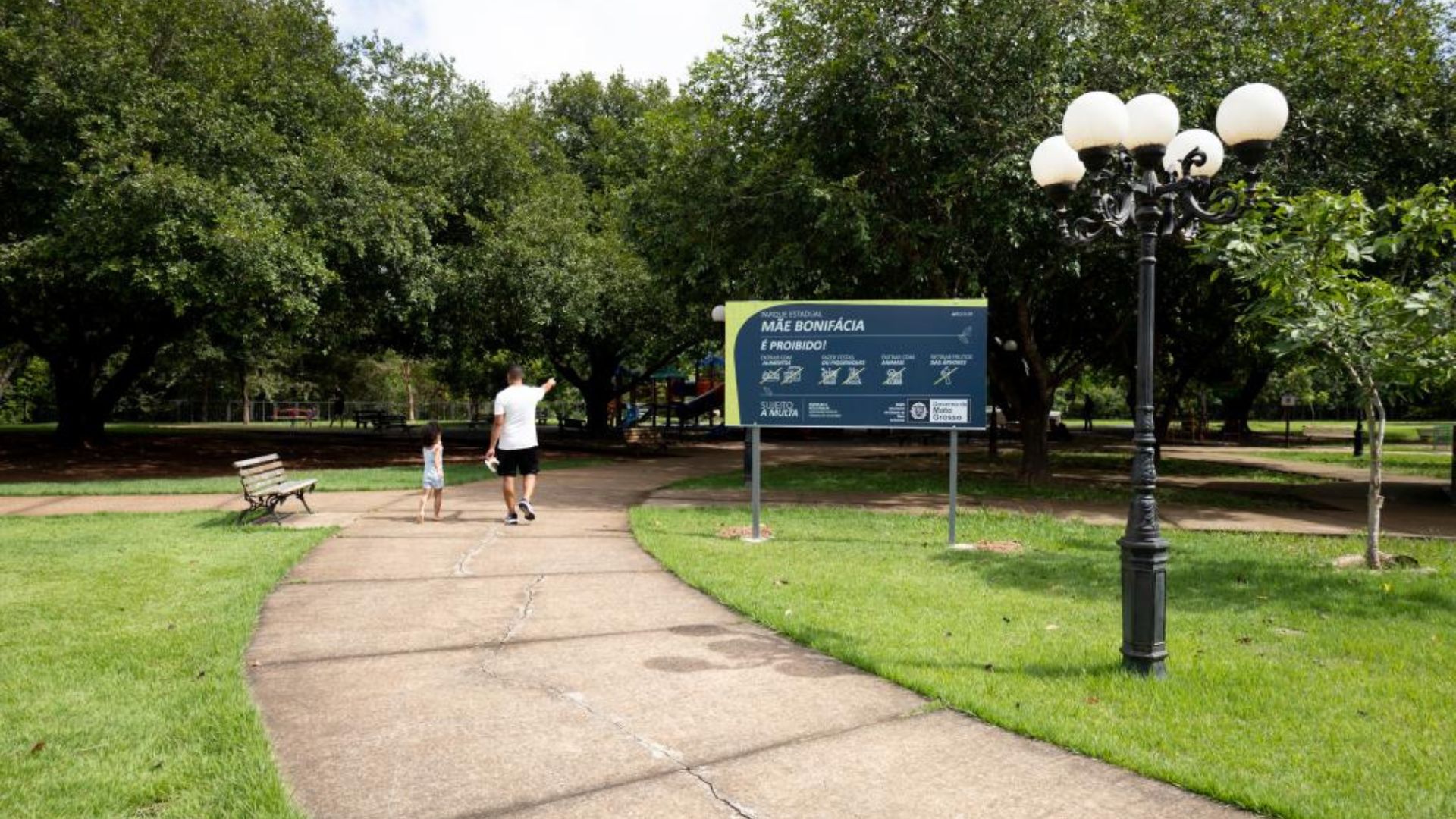 Sema realiza Trilha Interpretativa de Flora no Parque Mãe Bonifácia neste fim de semana
