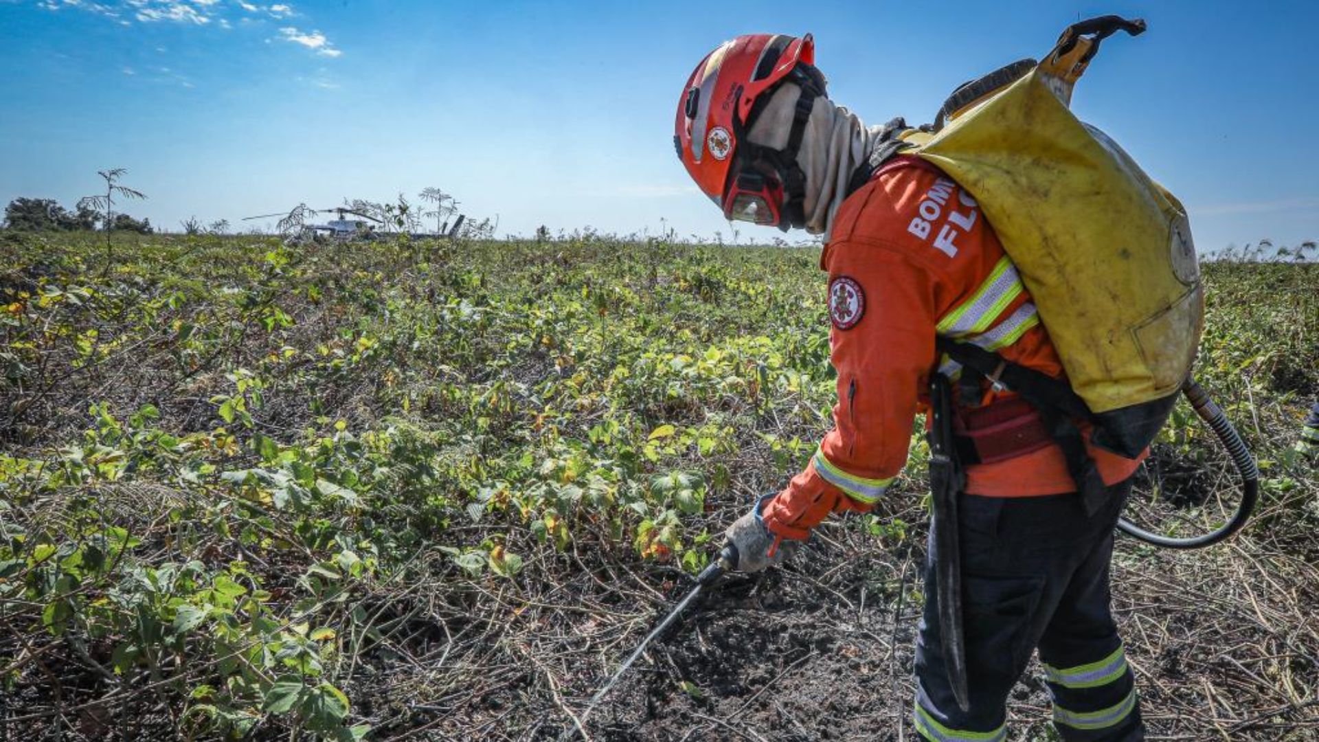 Governo de Mato Grosso publica decreto que estabelece período proibitivo de uso do fogo