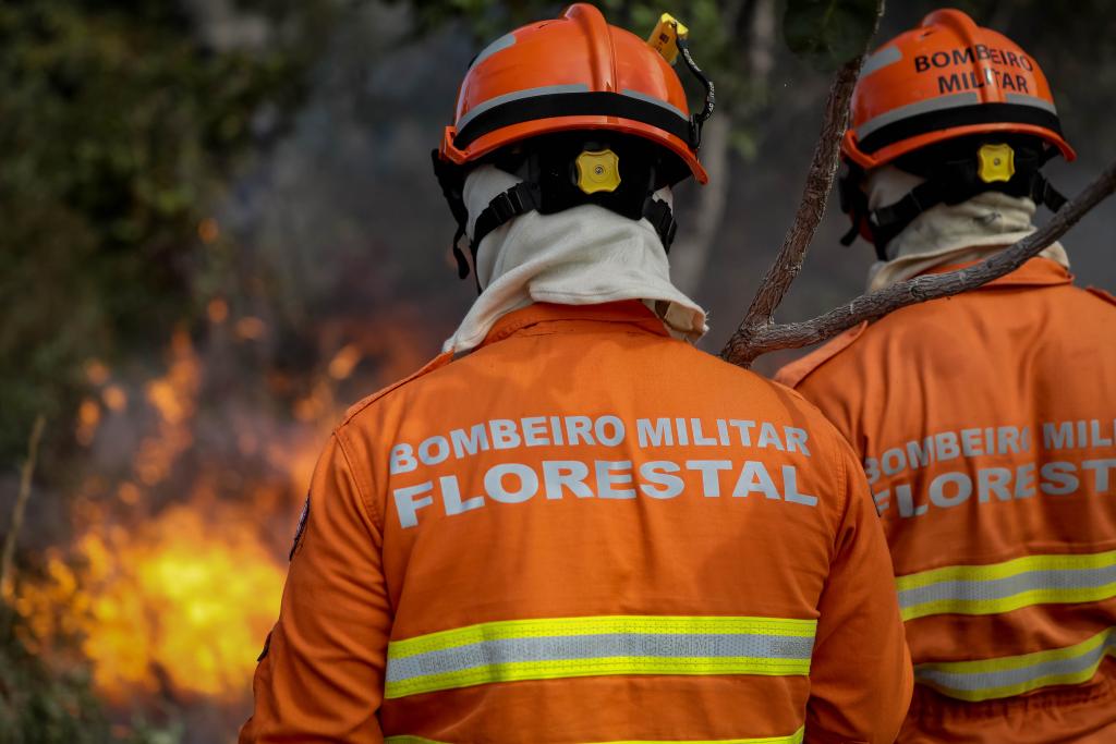 Governo de MT antecipa período proibitivo do uso do fogo no Pantanal