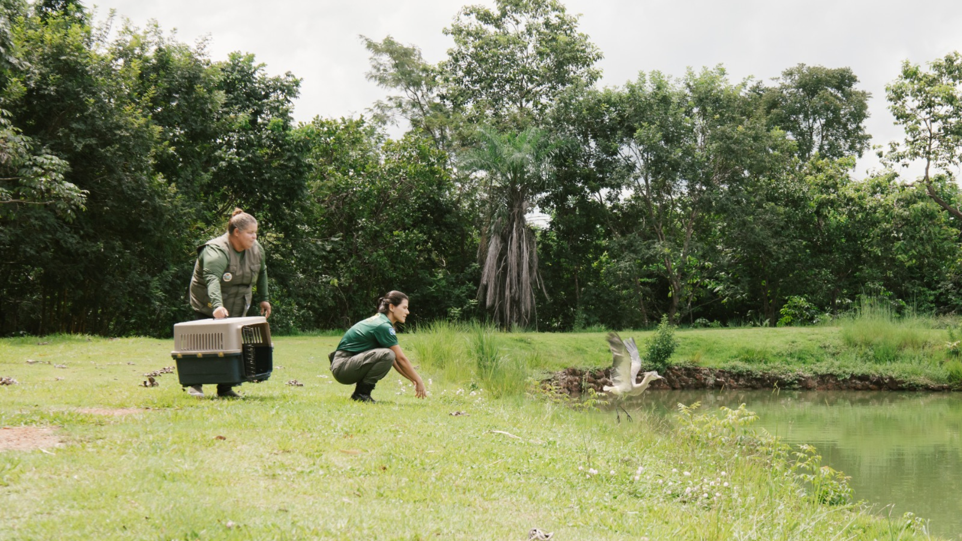 Sema investe mais de R$ 2 milhões em atendimento veterinário em 2025